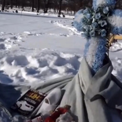 Man talking to grave x Need 2 - pinegrove