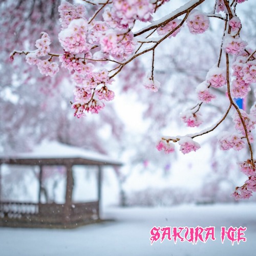 Sakura Ice