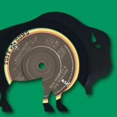 Bob Marley & The Wailers - Buffalo Soldier