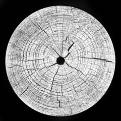 Constand, Don Iolanescu - Clock