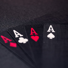 Spade 241105