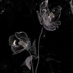Fine (Feat. Ushin)