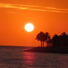 Afro House Sessions Vol. 002 mixed by Tom Buck