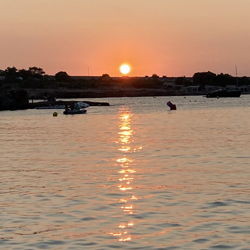 White Rabbit @ Ibiza - Tigre Morado // 19-08-2024