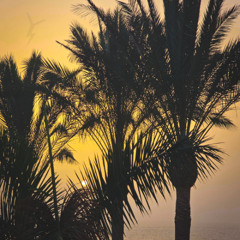 LET THE SUN IN