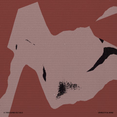 A Thousand Details - Unrestful Mind EP | Preview