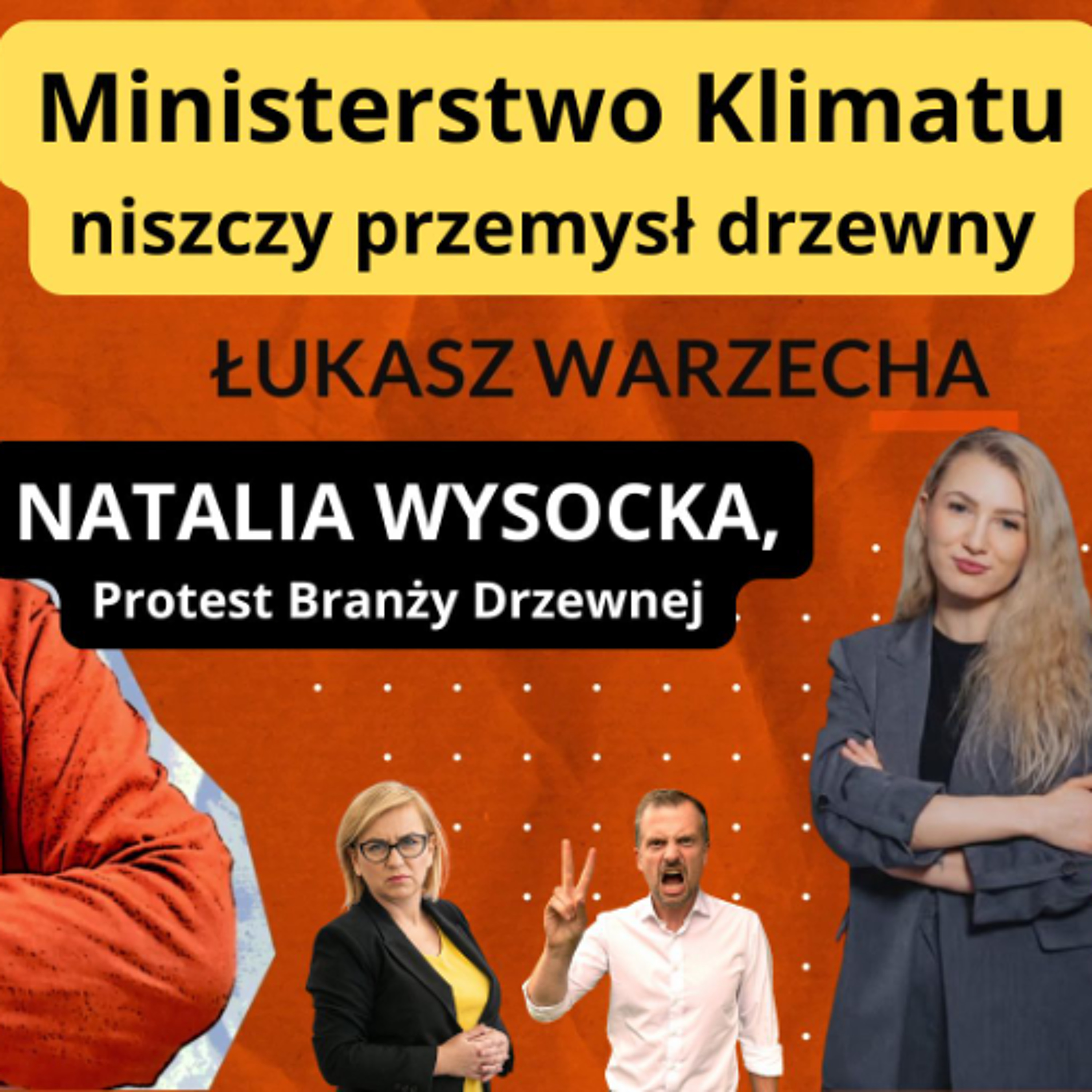 Ministerstwo Klimatu niszczy przemysł drzewny. Natalia Wysocka w "Rozmowie Niekontrolowanej" episode artwork