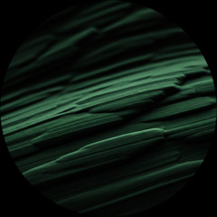 Alberto Tolo - Born To See [PREMIERE]