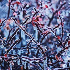 Ice Cold Pt. 2 (Prod. Mathias)