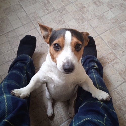 [Commission] POWERTRIP