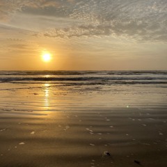 Reflections Of A Sea Bean (2020) for Fixed Media — Binaural Mix