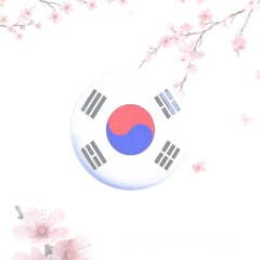 Korea w br1ce & dantetrim