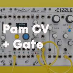 Pam CV + Gate