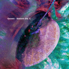 DS Premiere: Gannein - Inner Rhythm (Franco Rossi Remix)