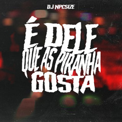 É DELE QUE AS PIRANHA GOSTA (feat. Mc Larissa & Mc Danny)