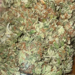 Get High With Me