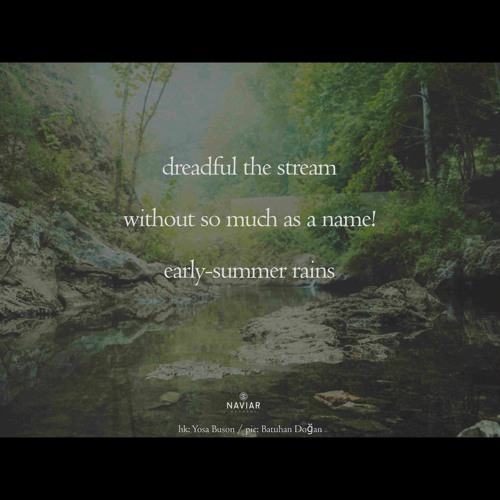 Stream without a name [naviarhaiku590]
