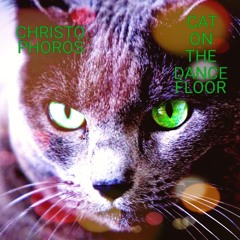 CAT ON THE DANCEFLOOR