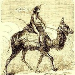 Paimon Let Me Ride His Dromedary To The Liquor Store