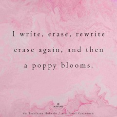 Erase Blooms (naviarhaiku557)