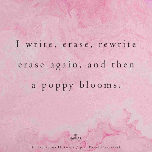 Erase Blooms (naviarhaiku557)