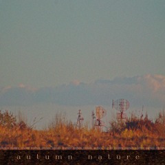 autumn nature
