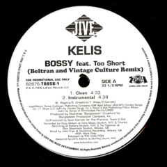 Kelis - Bossy (Beltran & Vintage Culture Remix)