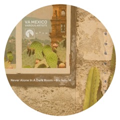 PREVIEW: Never Alone In A Dark Room - Blv Iuliu M [WAPM Records]