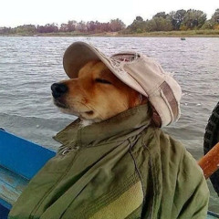 play ts back ! (kamiworld).mp3