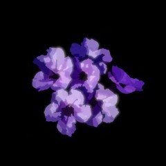 KYNEKTA - CYBERIDENTITY (NOVA VIP) (FREE DL)