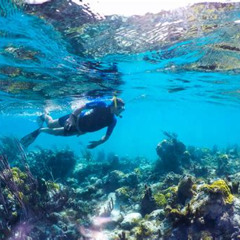 Best Turks And Caicos Snorkeling Tours Prices Reviews
