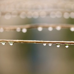 Warm Breeze in the Summer Rain  (Outtake 2025)