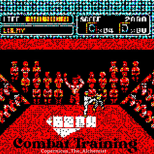 Combat Training