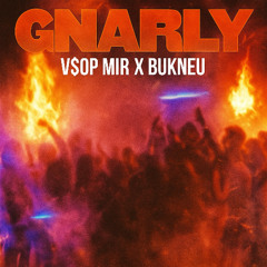 V$OP MIR  - Gnarly ft. Bukneu