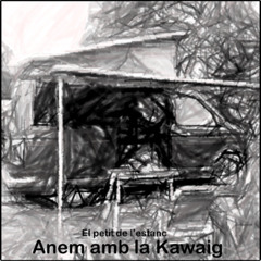 Anem amb la kawaig
