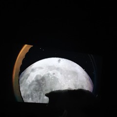 13 SCALES - Abandon Planet