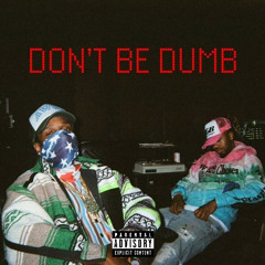 DON'T BE DUMB [INSPIRED BY A$AP ROCKY & METRO BOOMIN SNIPPET]