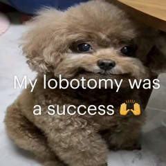 late (prod. juugmarioracks x naioxnaiox)