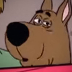 Where are you Scooby