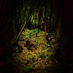 Beneath the Bodhi Tree