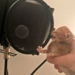 que ota freestyle