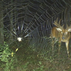 la pluie ne s'arrête pas