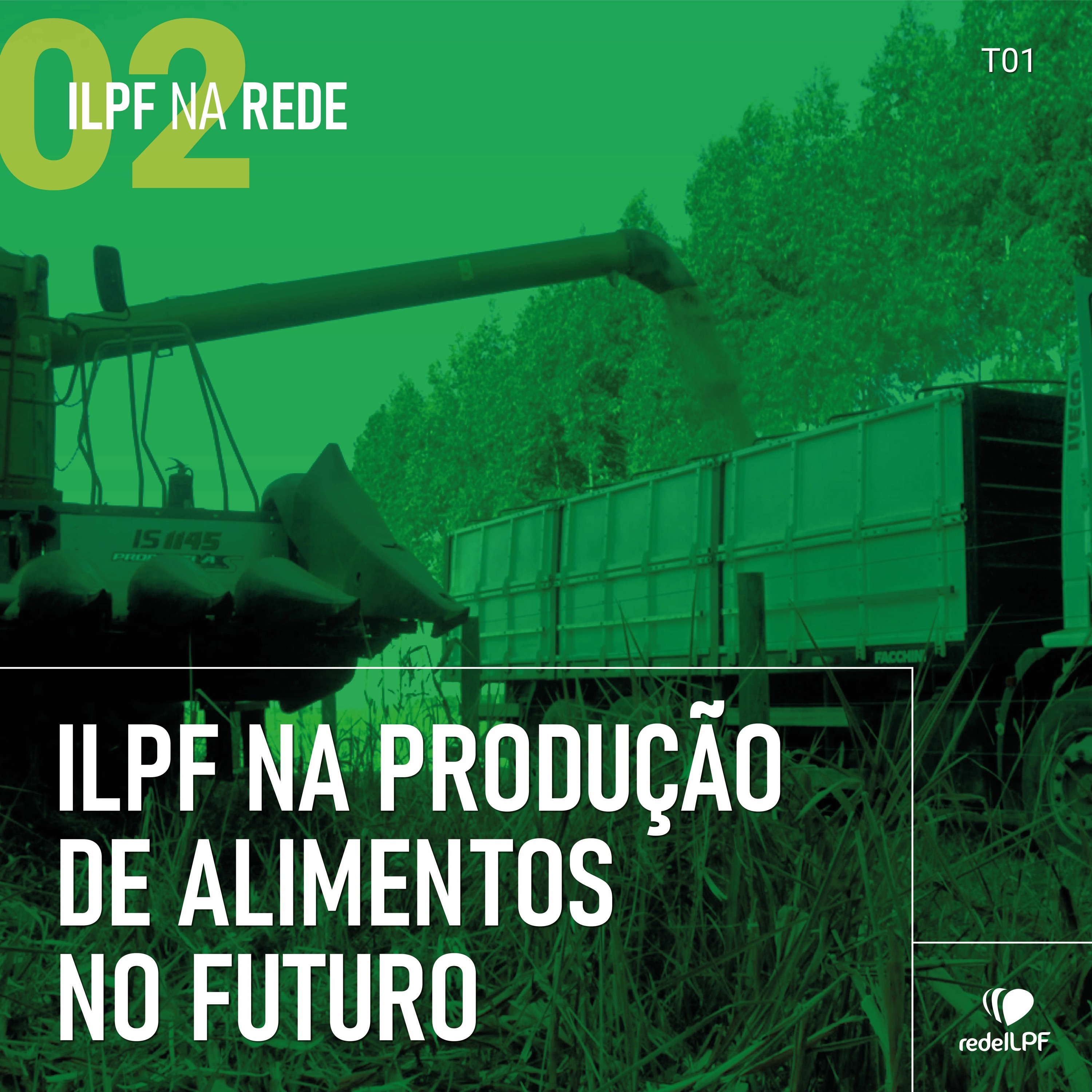 ILPF Na Rede