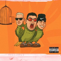 PAPAGAIO - DJPEJOTA, MC HK DA 7, PRIVBYG
