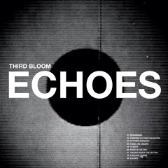 Echoes (feat. Mishkin Fitzgerald)