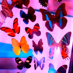 salvia entity beatbox