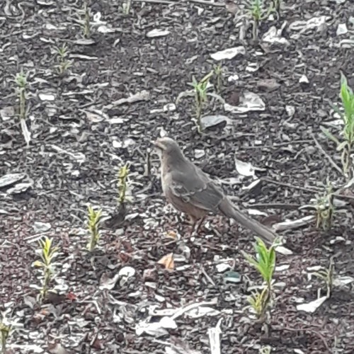 02.03.2022 - Cap. X - Bem Aventurados os Misericordiosos - Reconciliar-se com os Adversários (9)