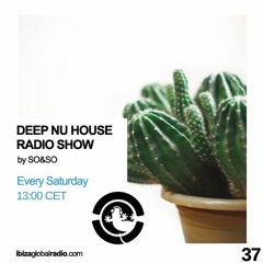Ibiza Global Radio - Deep Nu House by SO&SO Episode 037