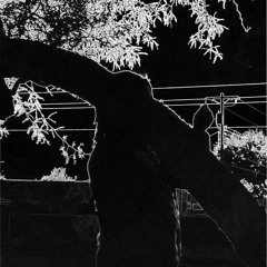 S*m*o*k*e W*e*e*d (prod. by DJQ)