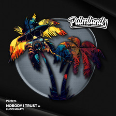 Lucci Minati - Nobody (Streaming Edit ) [Palmlands Records]